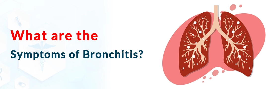  What are the Symptoms of Bronchitis?